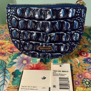 Brahmin Britt in Kyanite